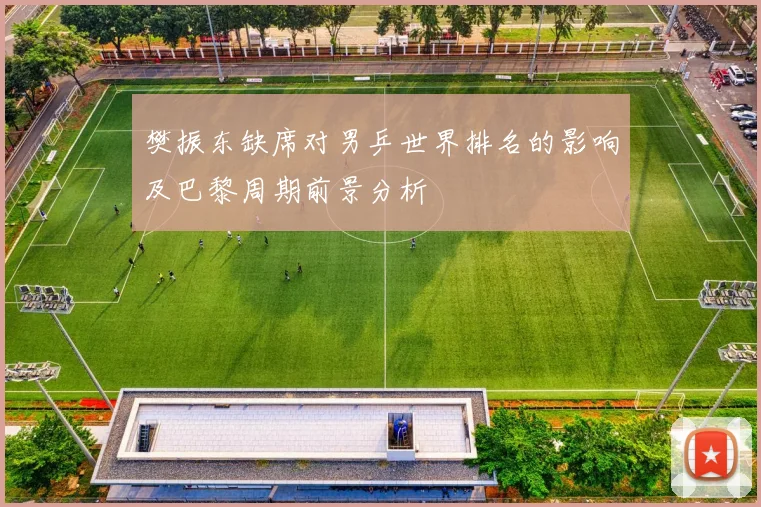 樊振东缺席对男乒世界排名的影响及巴黎周期前景分析