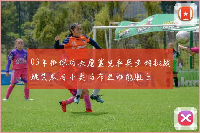 03年街球对决詹鲨克和奥多姆挑战姚艾瓜与小奥马布里谁能胜出